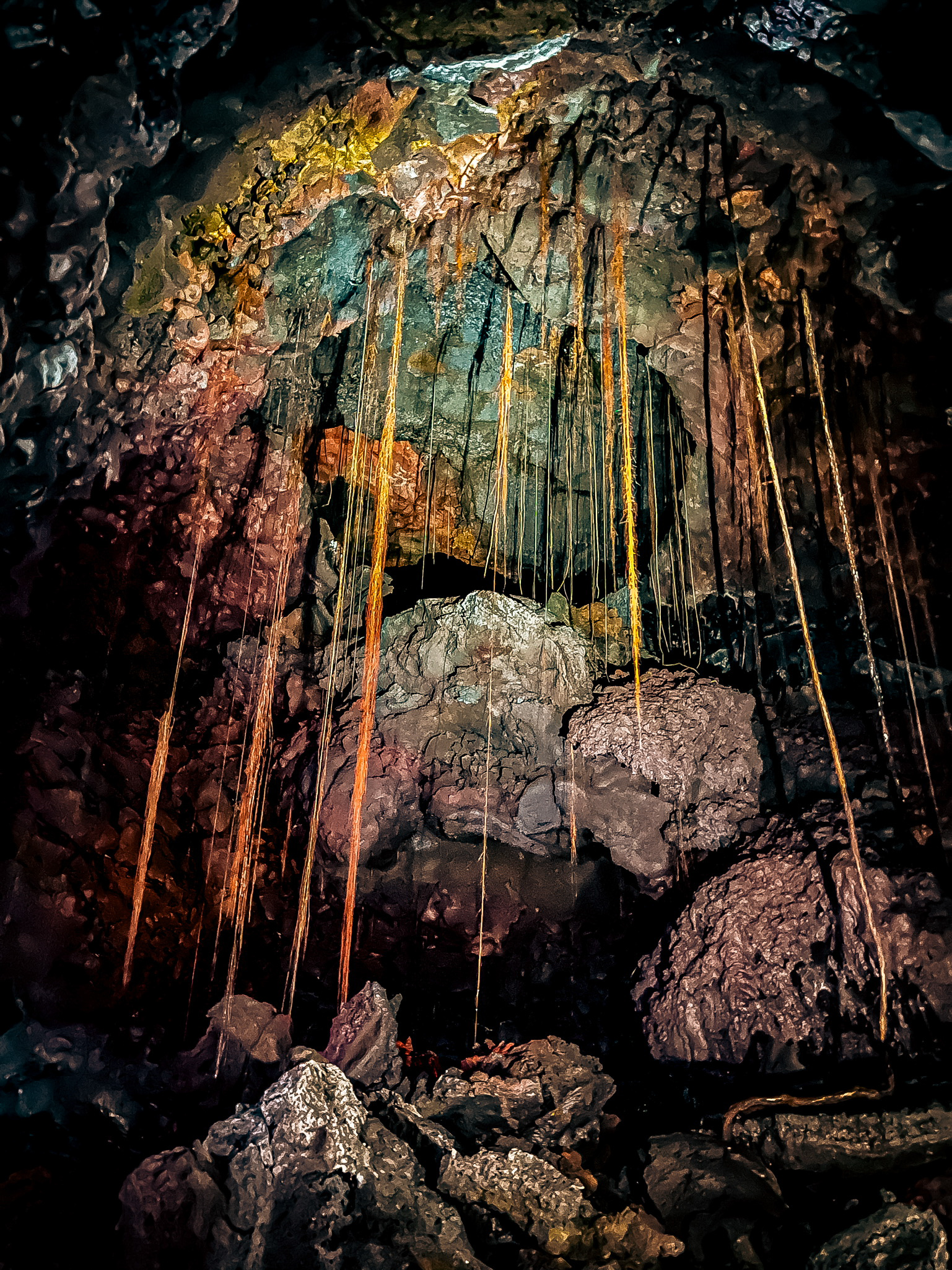 92-2584 Lot 7 Sea View Drive Ocean View, HI 96704 - Photo 3 of 10 a view of a backyard