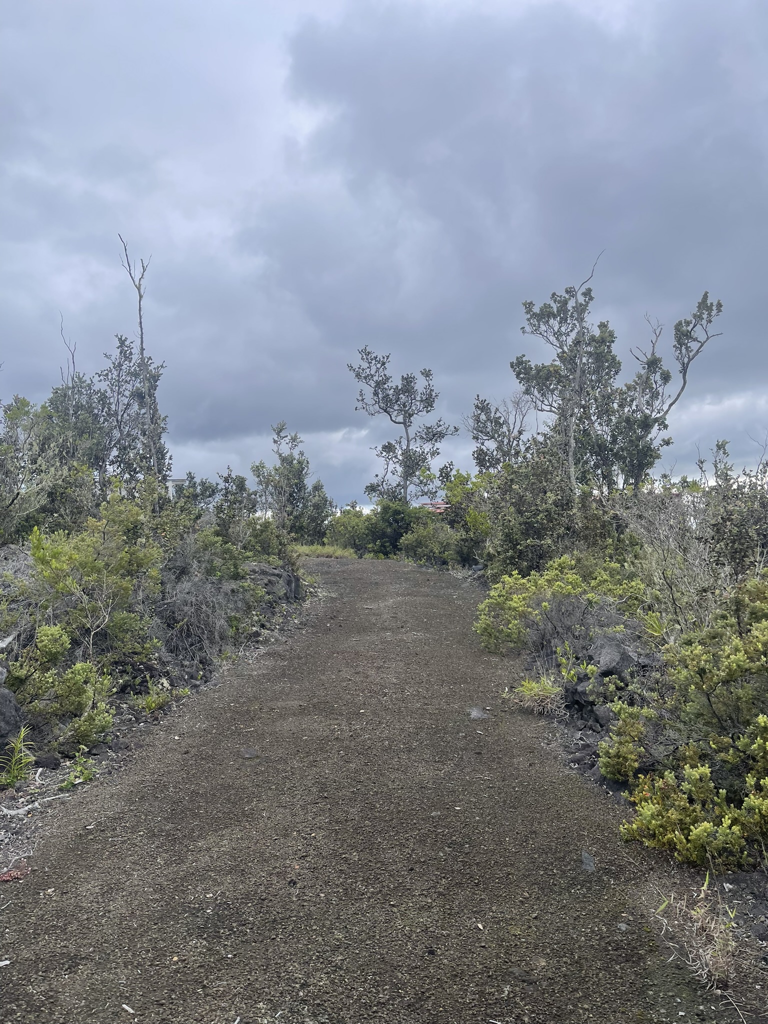 92-2584 Lot 7 Sea View Drive Ocean View, HI 96704 - Photo 5 of 10 a view of a dry yard with trees