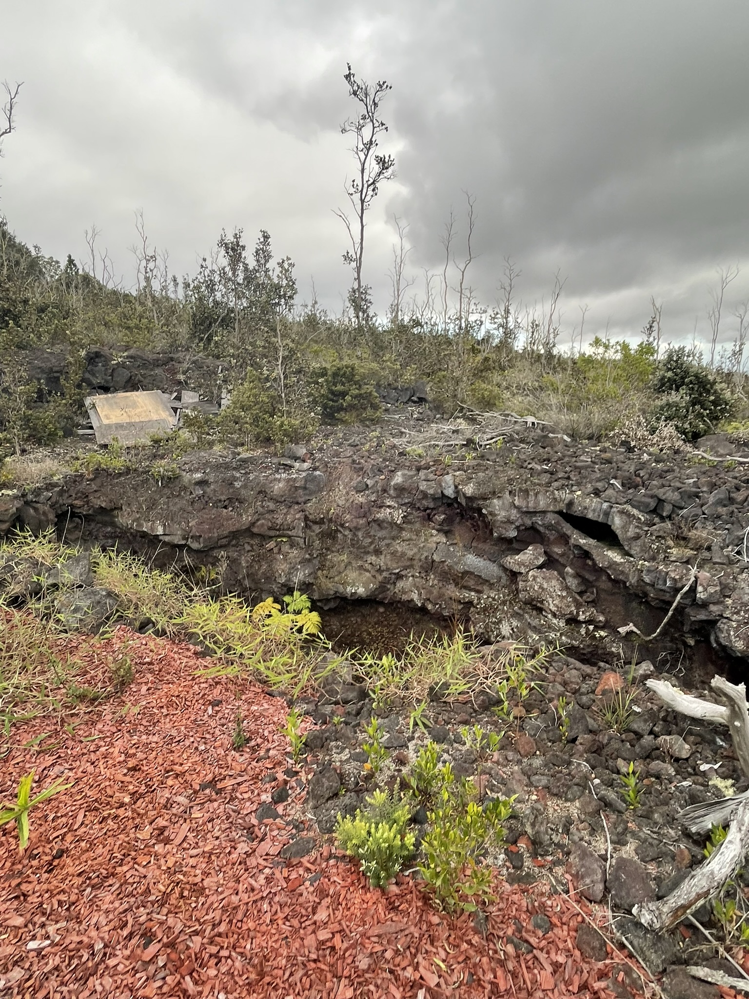 92-2584 Lot 7 Sea View Drive Ocean View, HI 96704 - Photo 7 of 10 a view of a yard with wooden fence