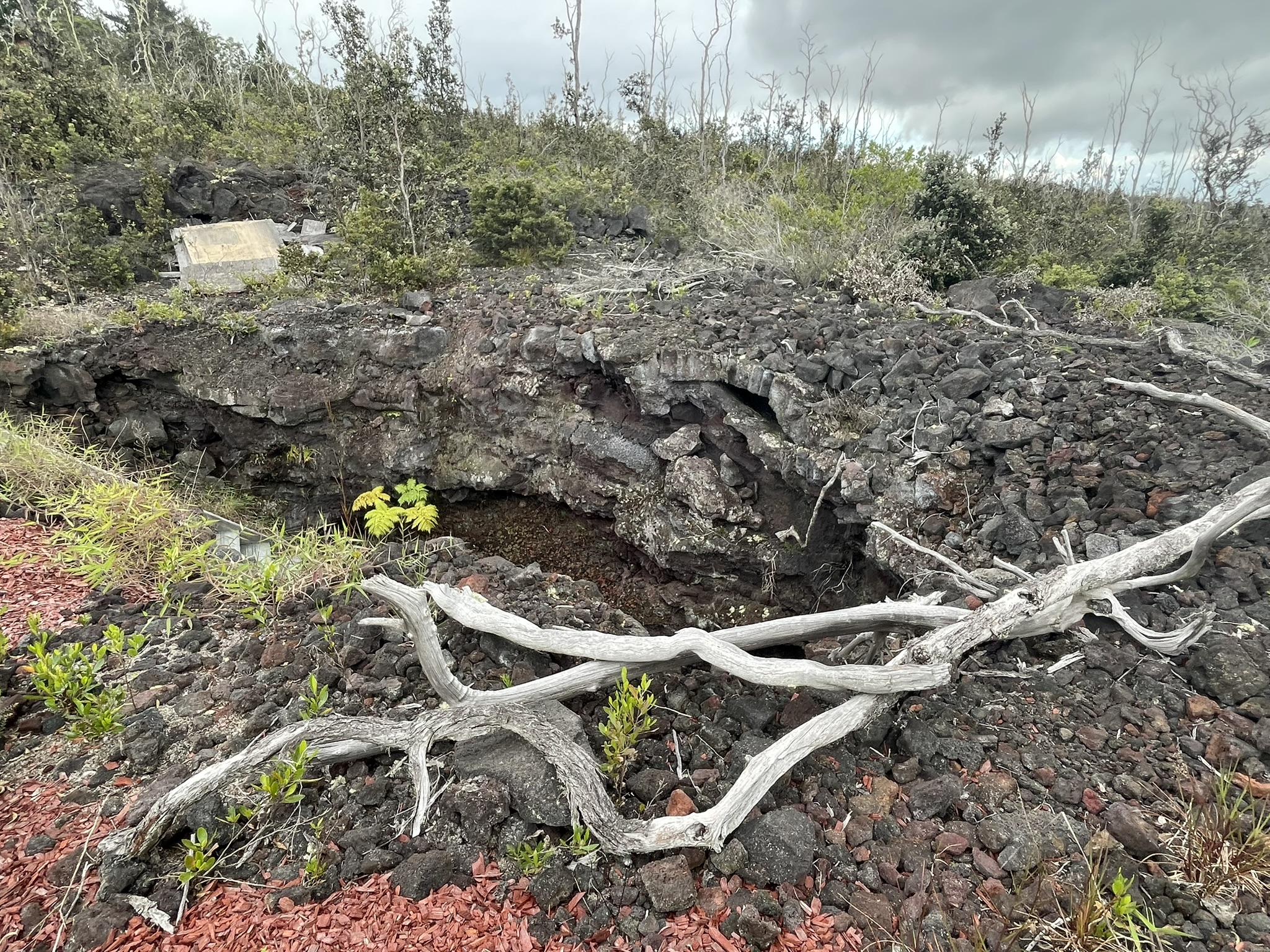 92-2584 Lot 7 Sea View Drive Ocean View, HI 96704 - Photo 9 of 10 a view of an outdoor space and a yard