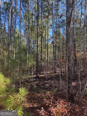 a view of outdoor space and a yard
