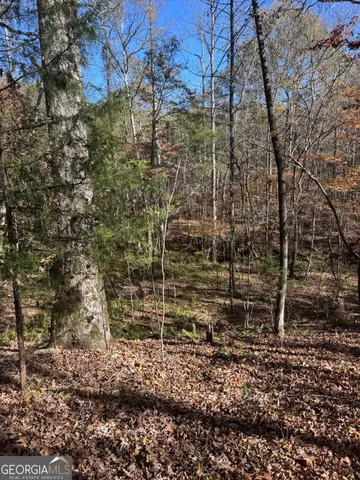 a view of a pathway with a yard