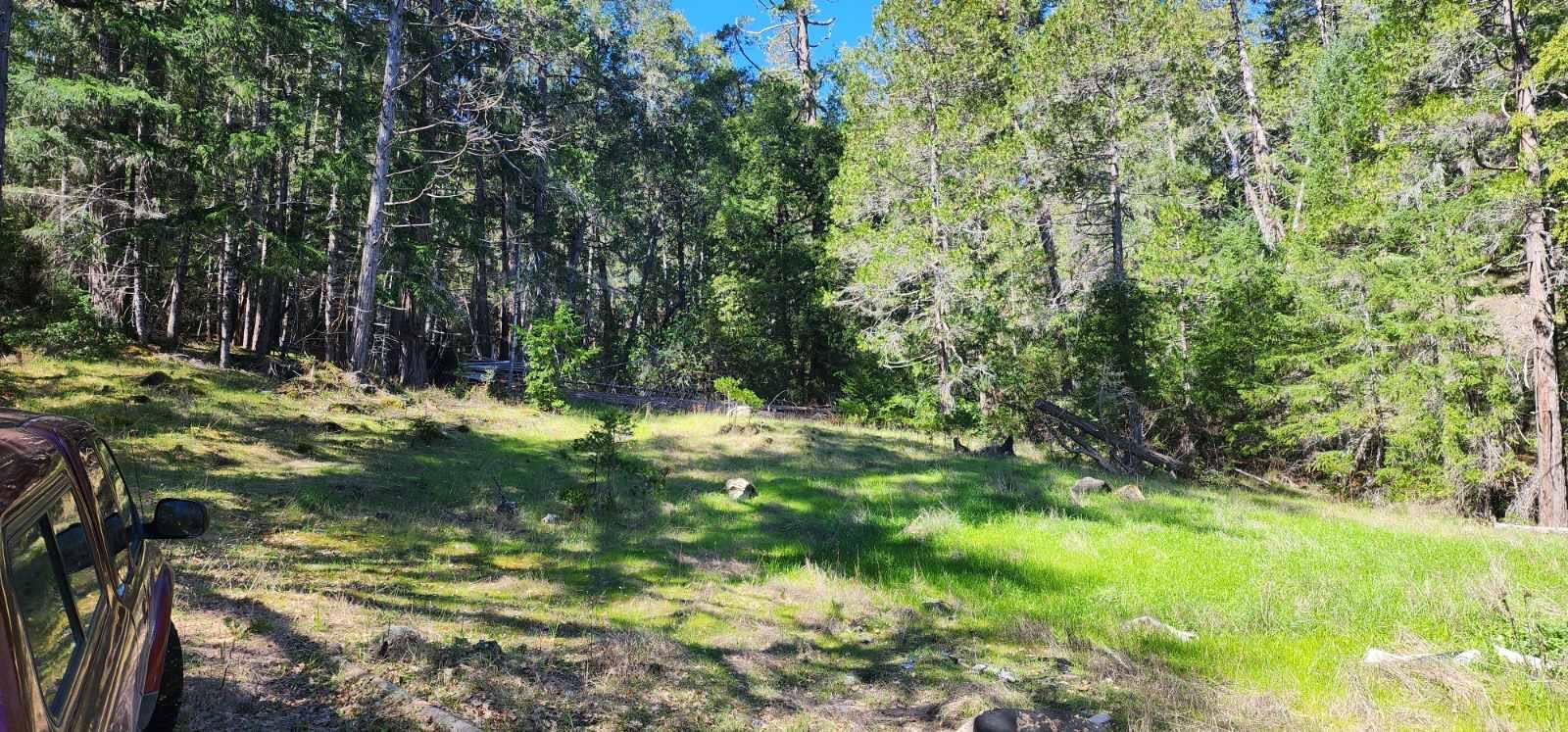 0 Salmon Creek Road Miranda, CA 95553 - Photo 5 of 19