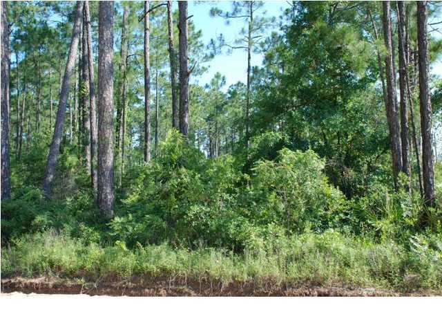 11-12 Indian Woman Road Santa Rosa Beach, FL 32459 - Photo 4 of 12 a view of a lush green forest