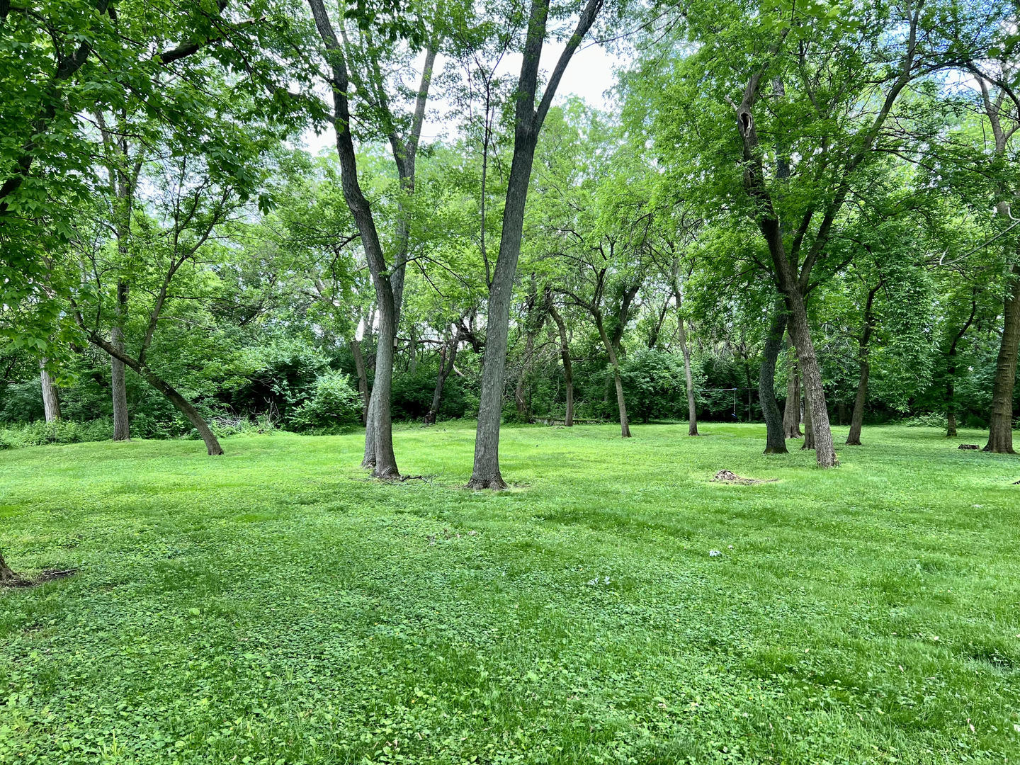 268 Stonegate Road Cary, IL 60013 - Photo 17 of 35 a view of a park with trees in the background
