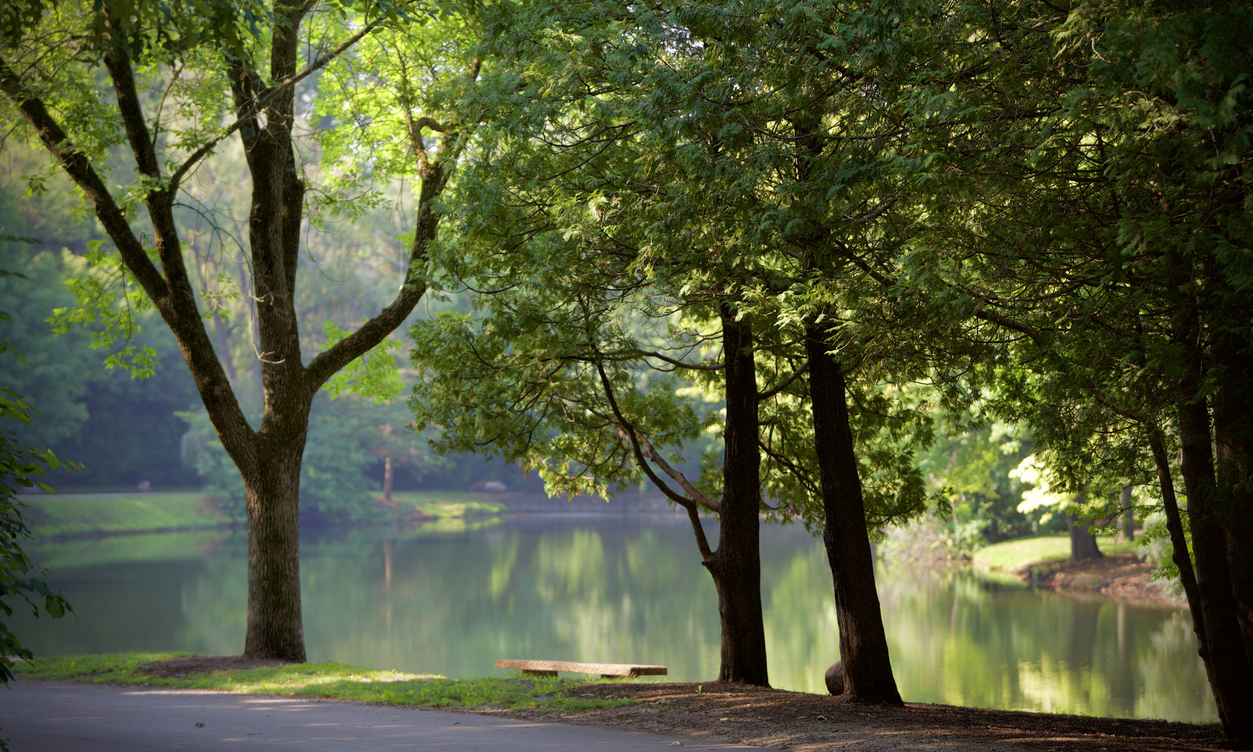 268 Stonegate Road Cary, IL 60013 - Photo 29 of 35 a view of a yard with large trees