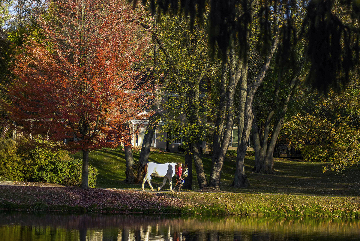 268 Stonegate Road Cary, IL 60013 - Photo 34 of 35 a view of house with trees in the background