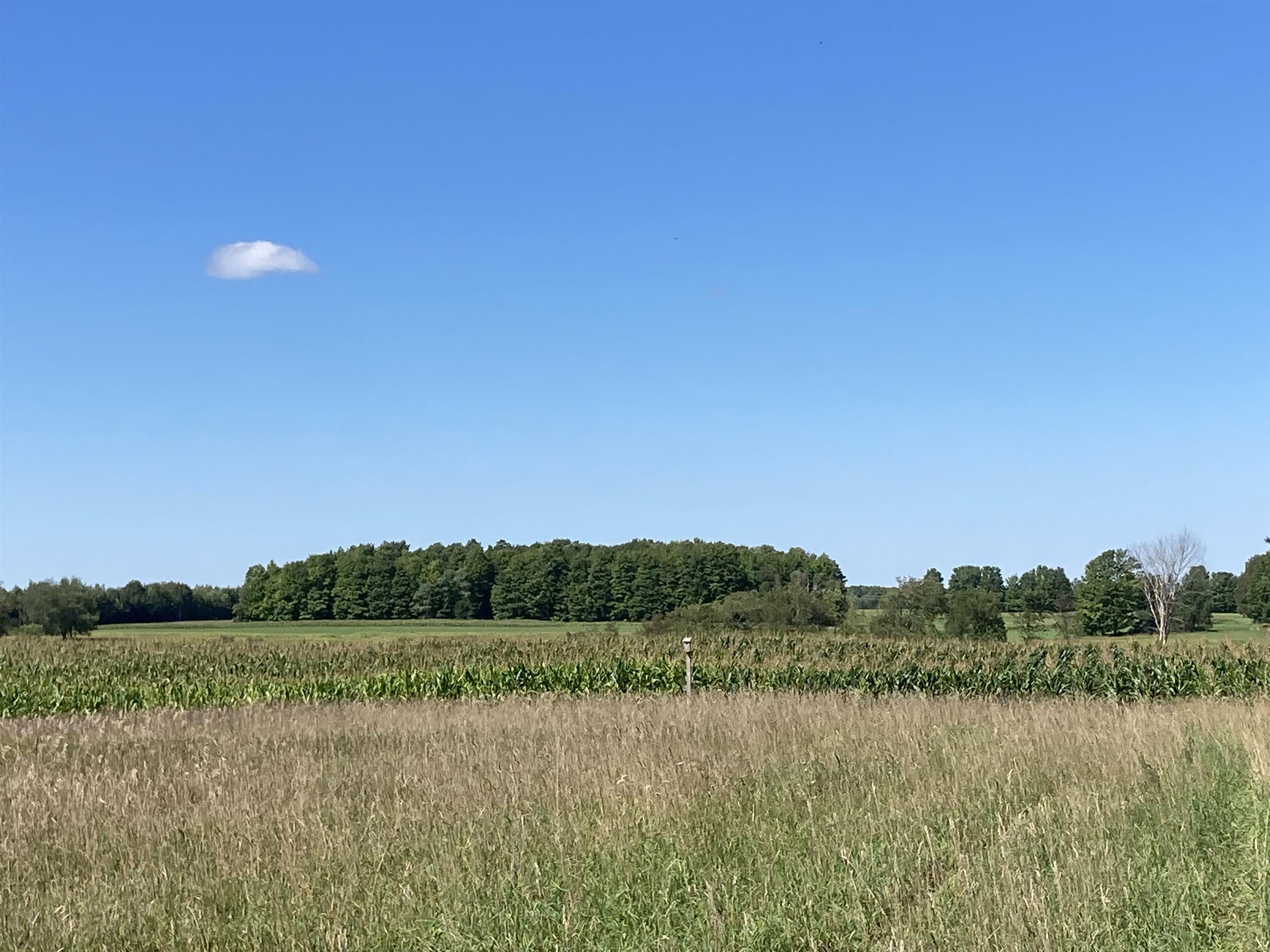 Vl East Vl E Sparling Road Kingsley, MI 49649 - Photo 8 of 12