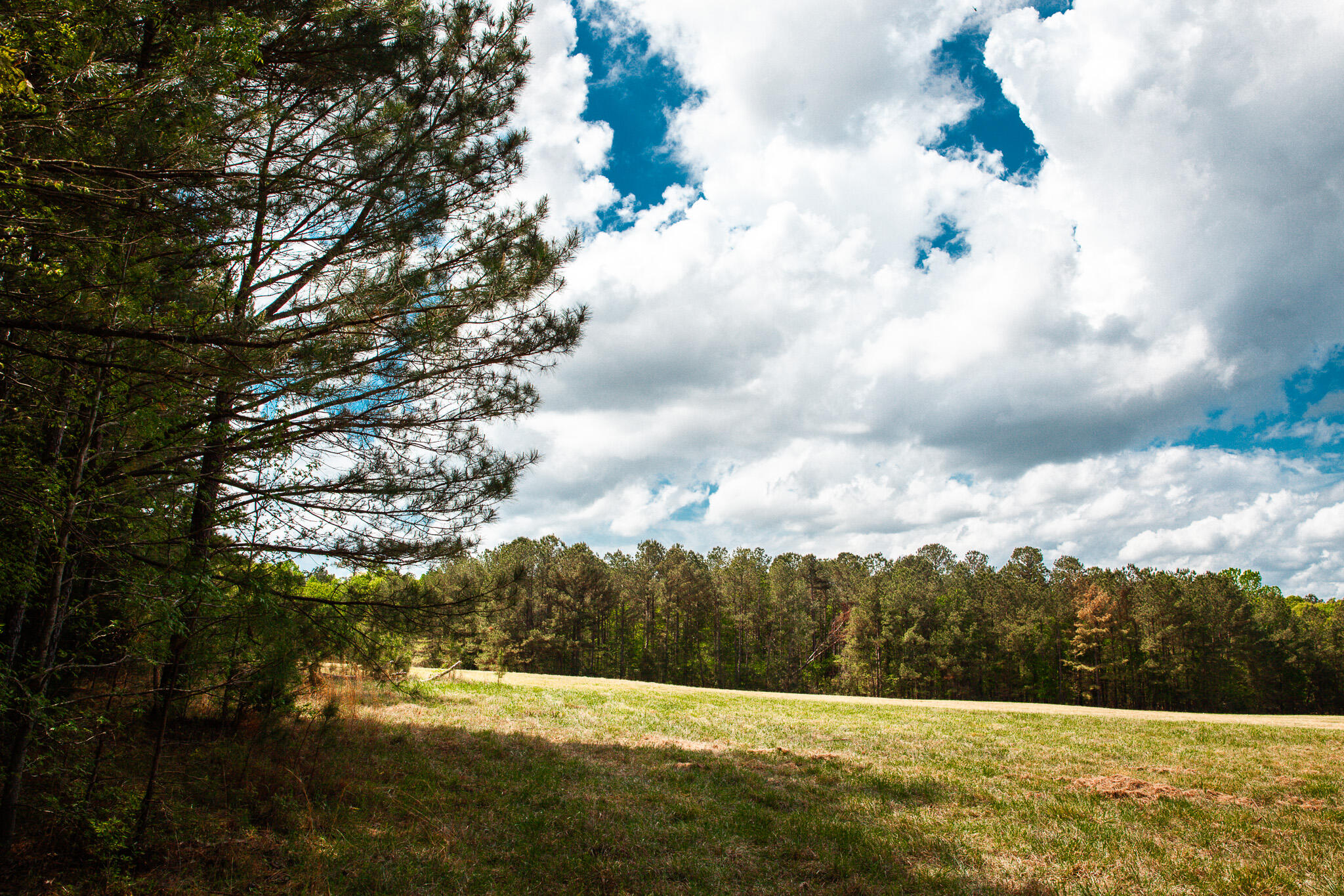 0 Ralph Goolsby Road Lincolnton, GA 30817 - Photo 22 of 48 IMG_5218