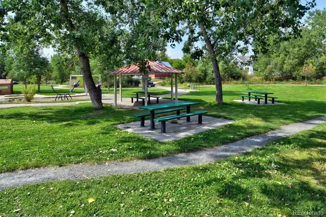 a view of a park with large trees
