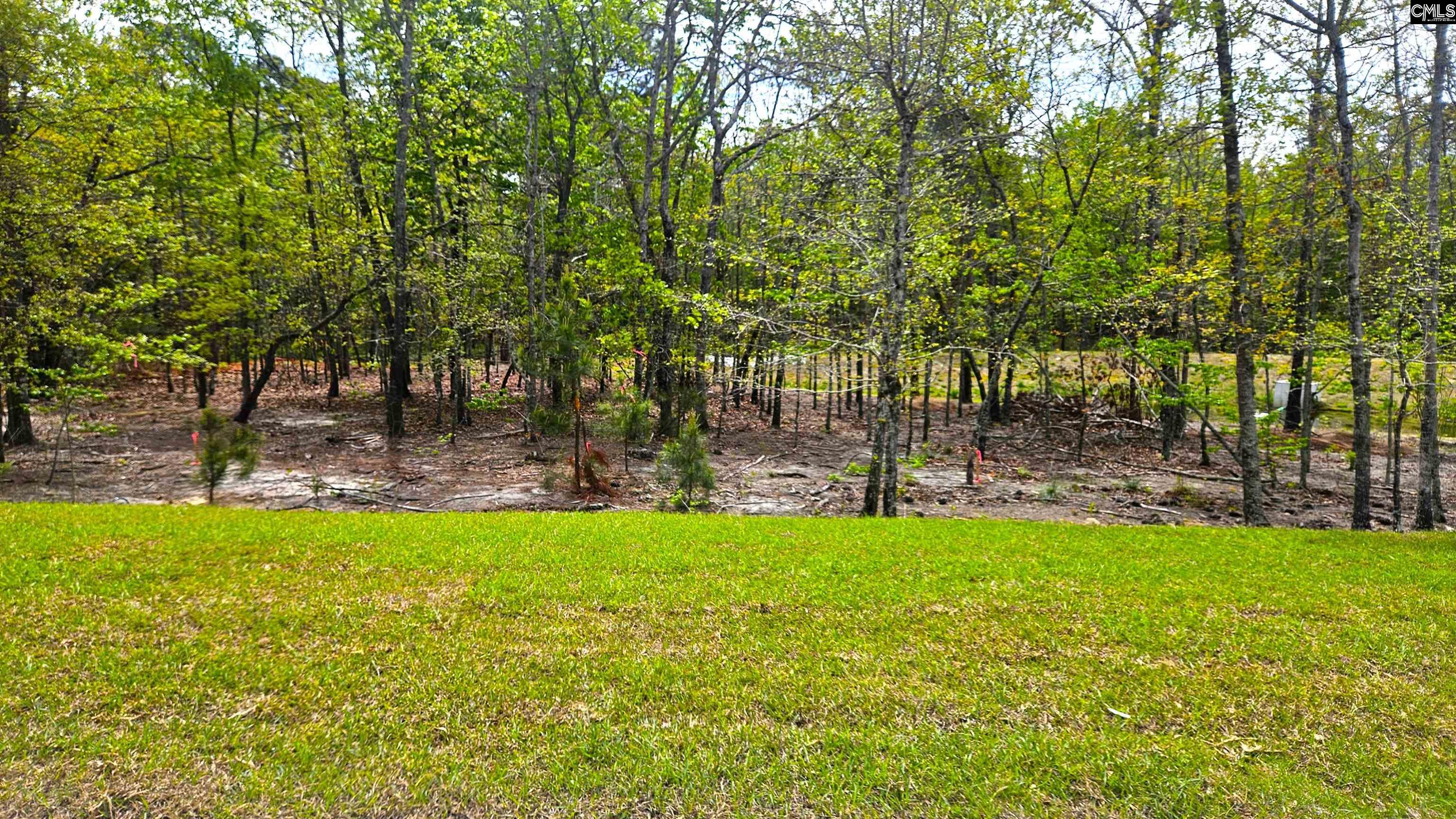 304 Frog Leap Road Blythewood, SC 29016 - Photo 7 of 41