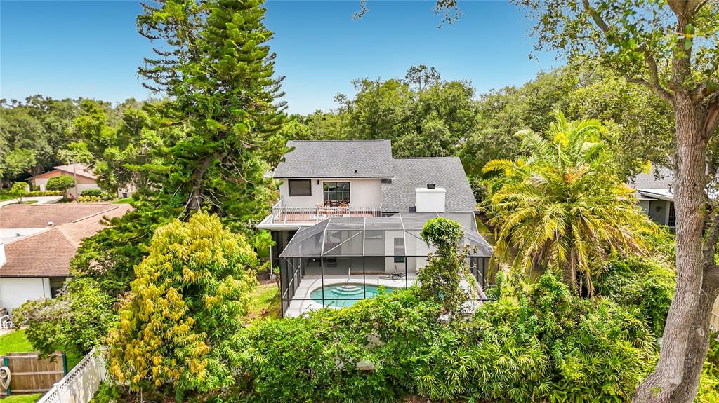 3 Octavia Way Safety Harbor, FL 34695 - Photo 57 of 65