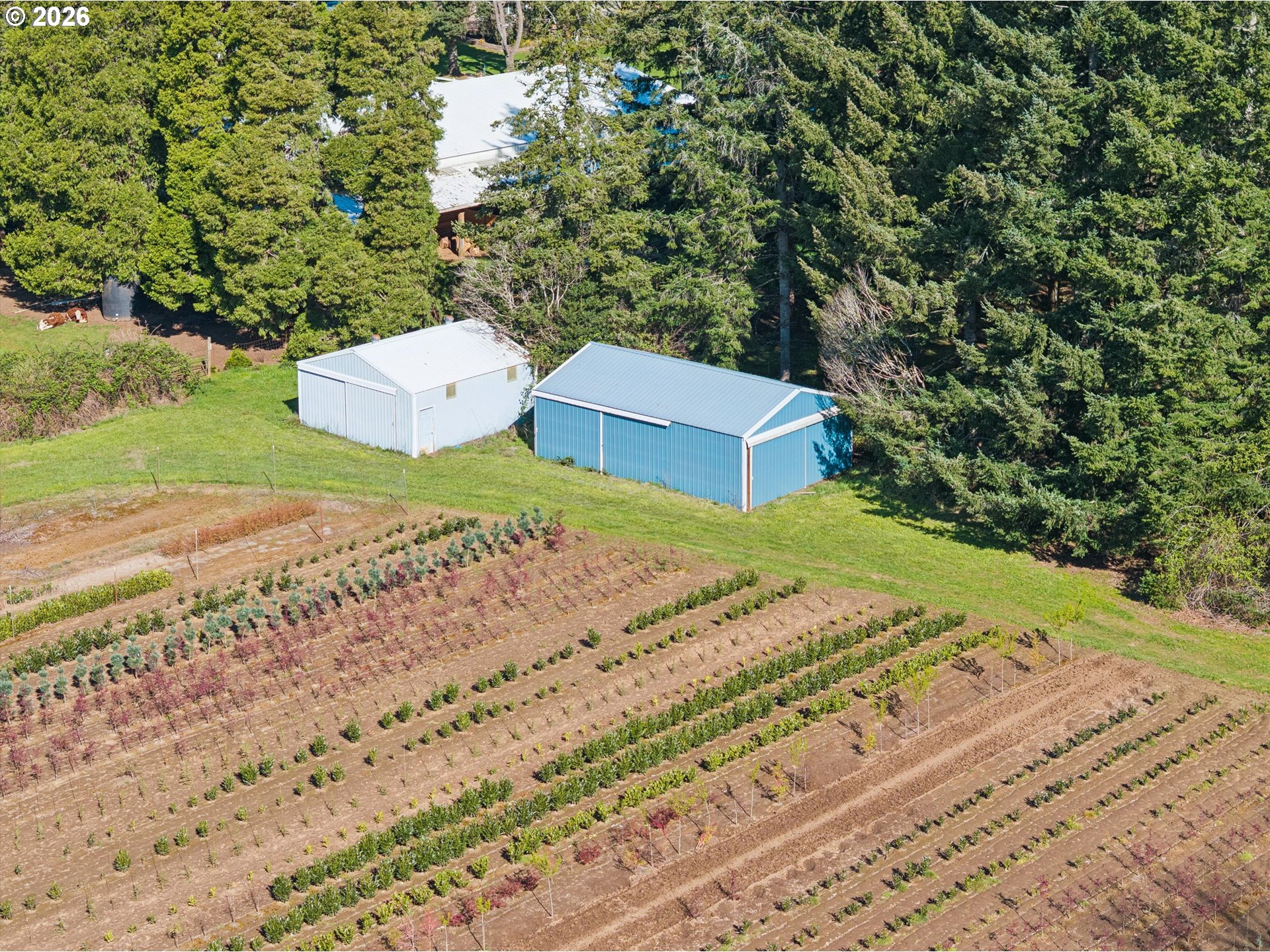38101 Southeast Hauglum Road Sandy, OR 97055 - Photo 39 of 40