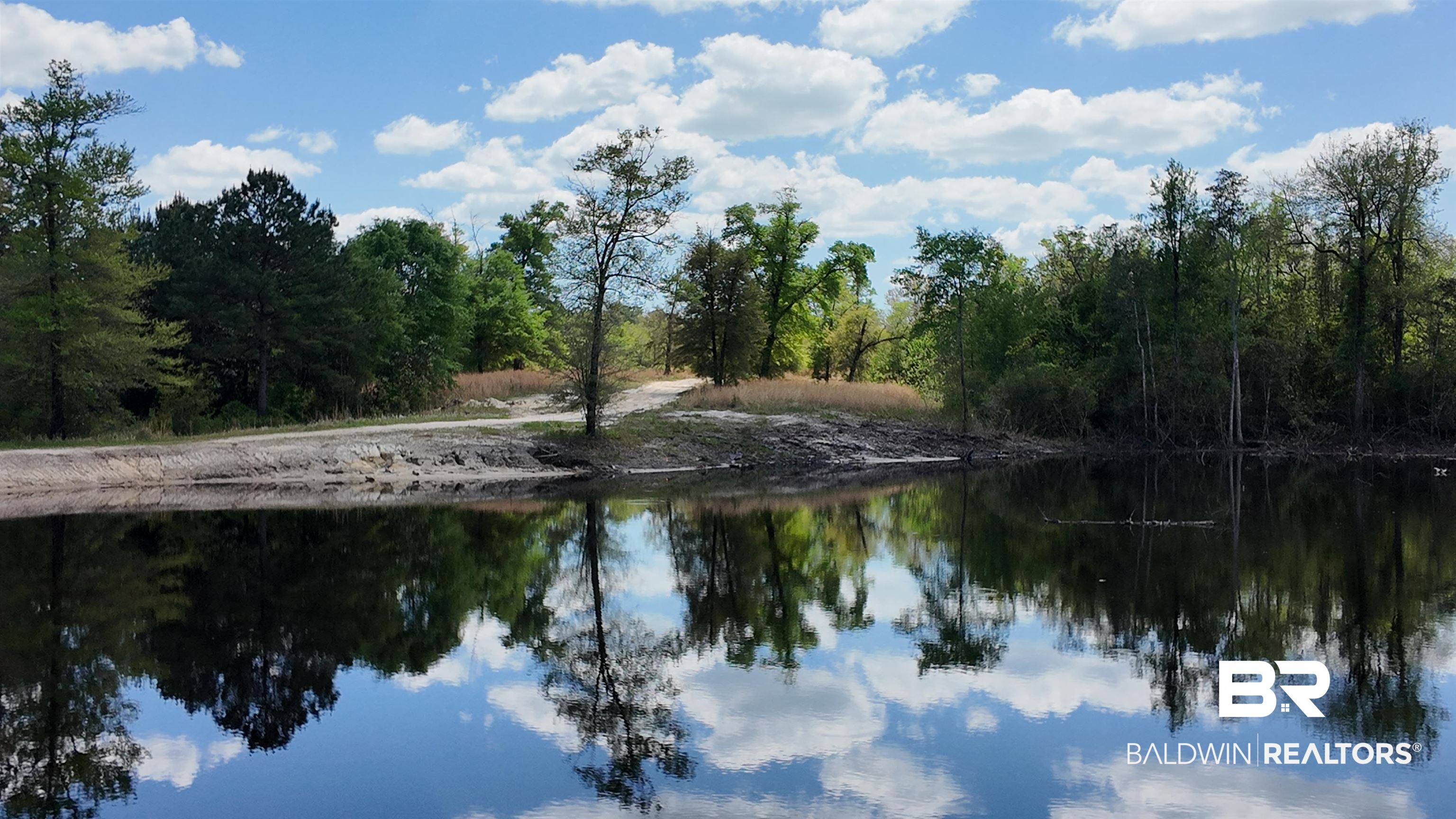0 Powell Road Eight Mile, AL 36613 - Photo 22 of 57