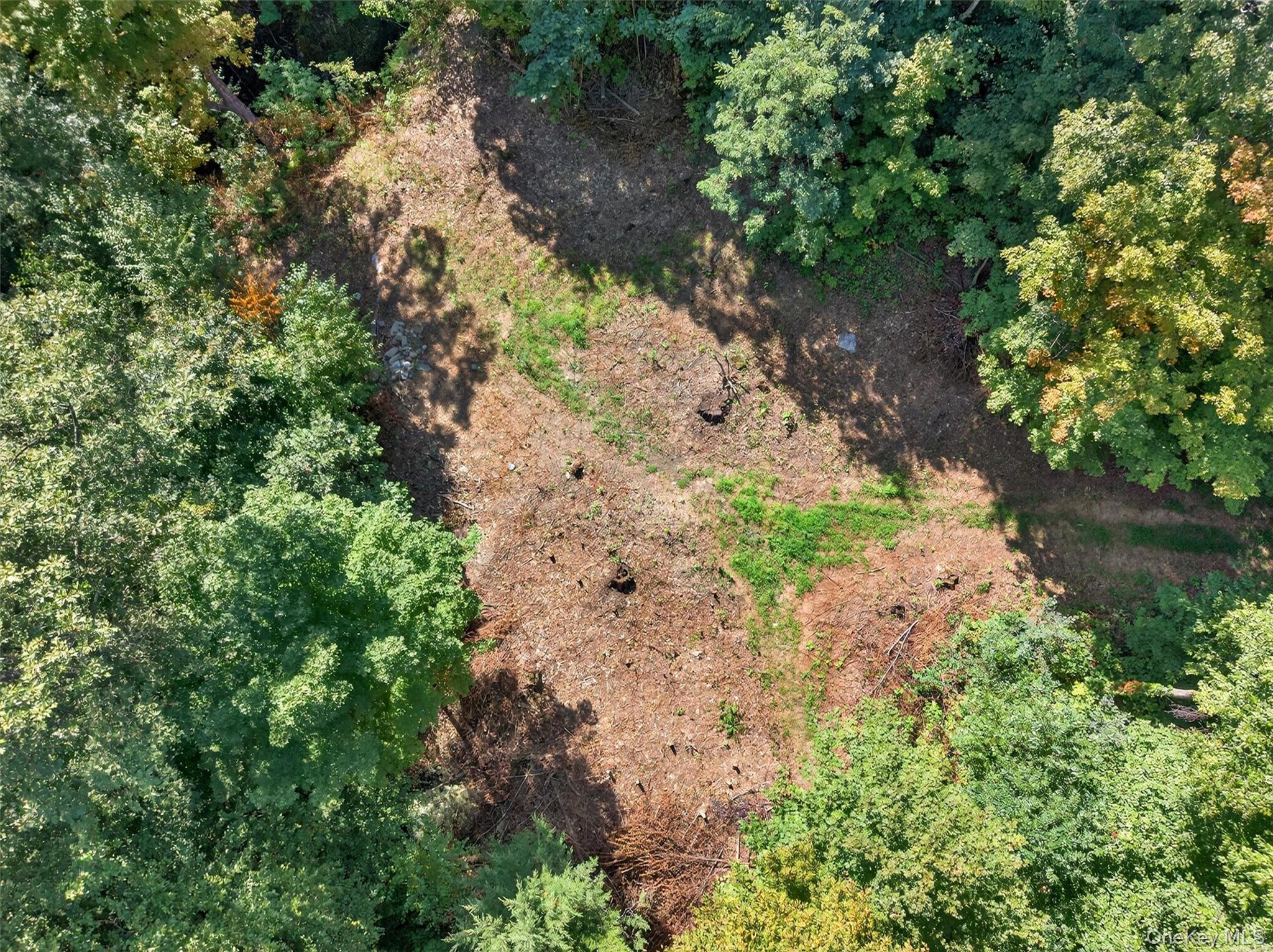 331 Mountain Lodge Road Blooming Grove, NY 10950 - Photo 3 of 50 Cleared homesite area