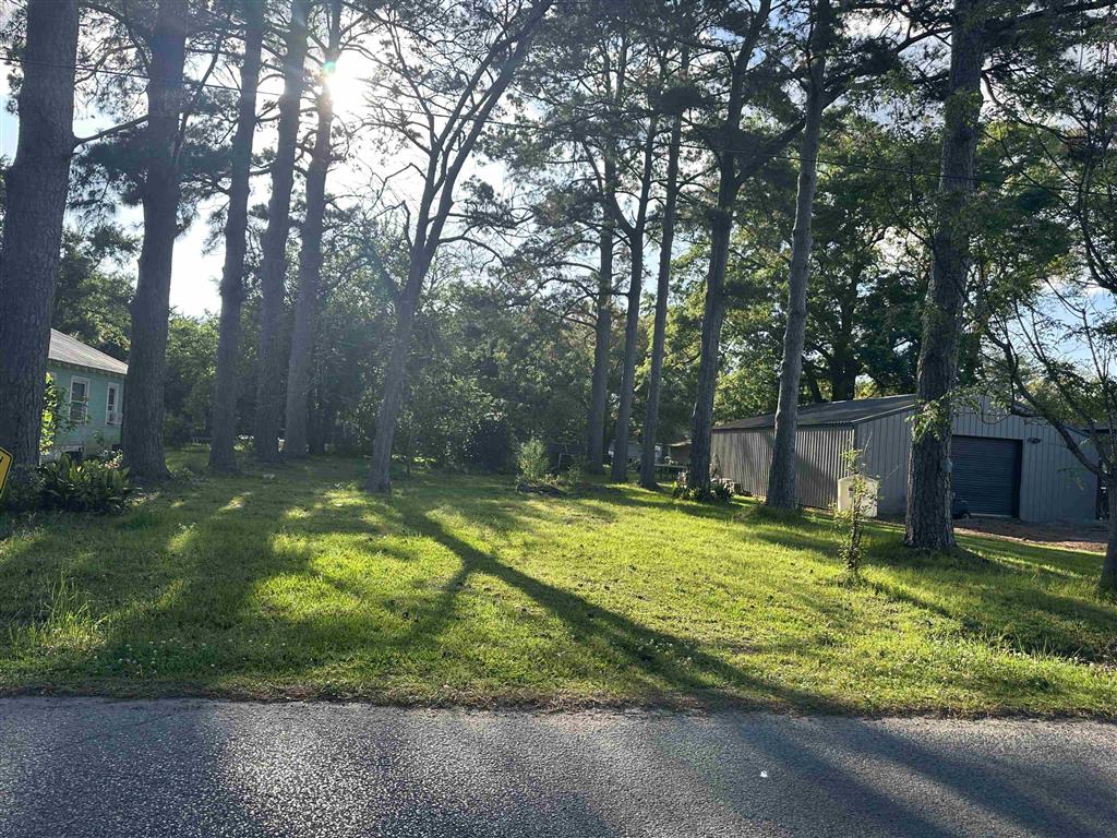 South Lewis Avenue South Basile, LA 70515 - Photo 1 of 2