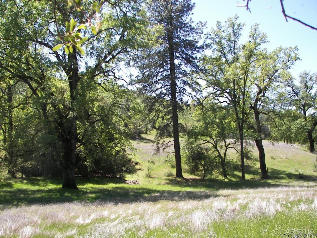 0 Banner Road Mountain Ranch, CA 95246 - Photo 1 of 1