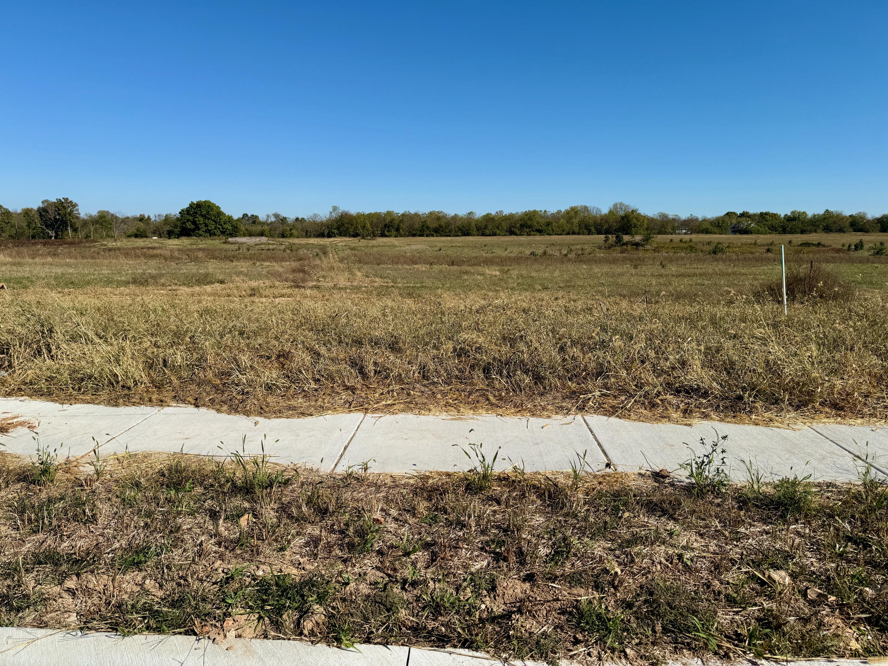 979 South Stonewall Road Republic, MO 65738 - Photo 1 of 6 IMG_1171