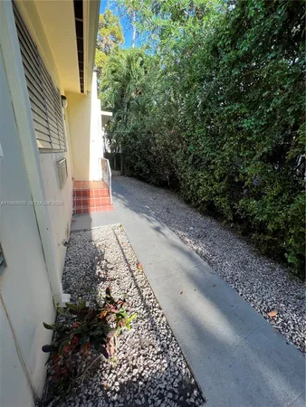 a view of a pathway with a plants