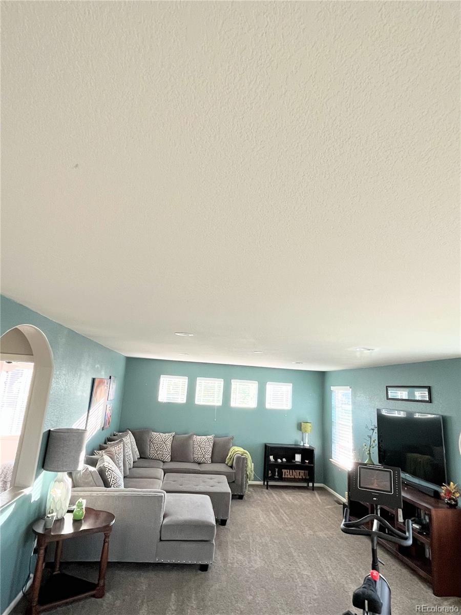 42 Saxony Road Johnstown, CO 80534 - Photo 7 of 28