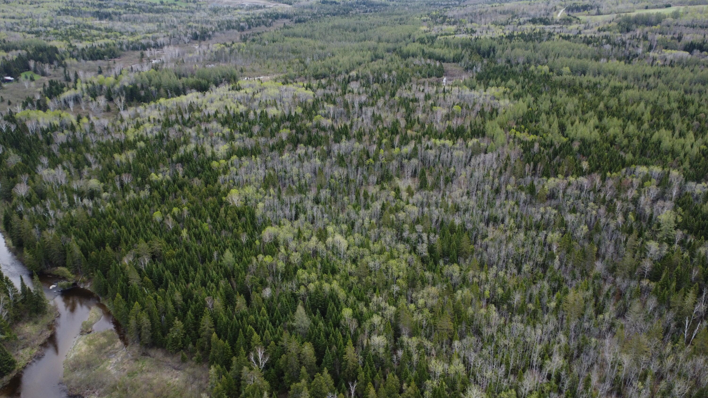 M5-l15 Alexander Road Van Buren, ME 04785 - Photo 7 of 18 dji_fly_20260521_100524_381_177937233920