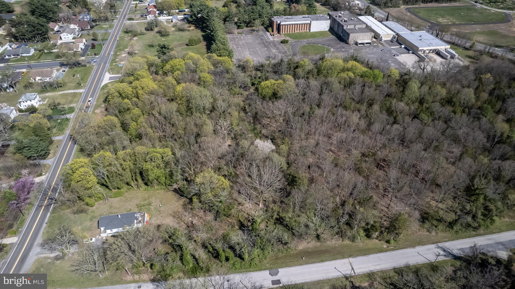 785 East Oak Road Vineland, NJ 08360 - Photo 4 of 12 a view of a forest with a yard