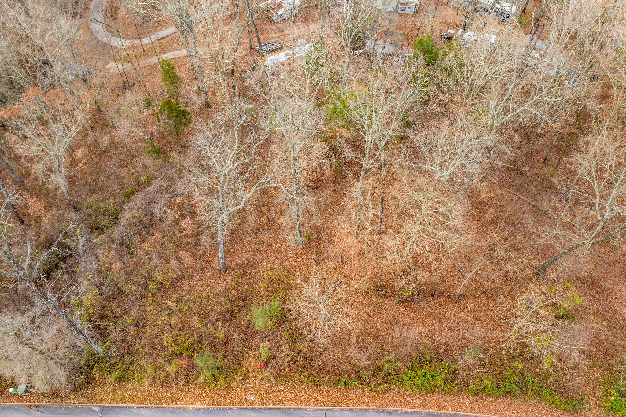 Lot 25 Aidans Trail, Unit 25 Rutledge, TN 37861 - Photo 2 of 33 2 (1)