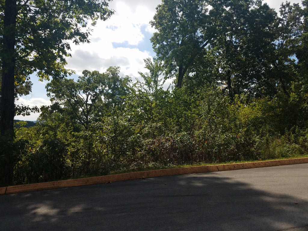 Lot 25 Aidans Trail, Unit 25 Rutledge, TN 37861 - Photo 13 of 33 13