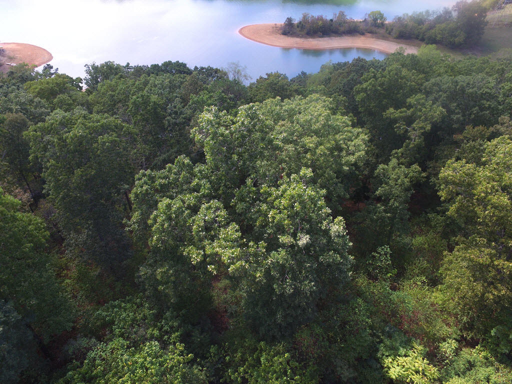 Lot 25 Aidans Trail, Unit 25 Rutledge, TN 37861 - Photo 16 of 33 16