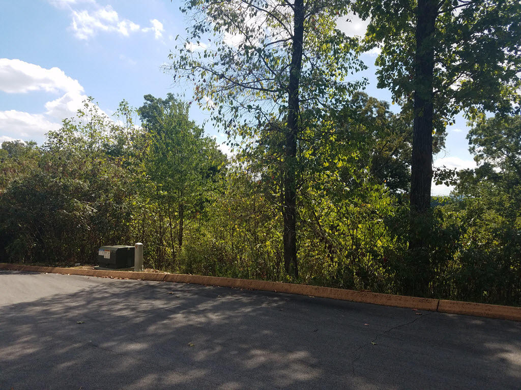 Lot 25 Aidans Trail, Unit 25 Rutledge, TN 37861 - Photo 31 of 33 31