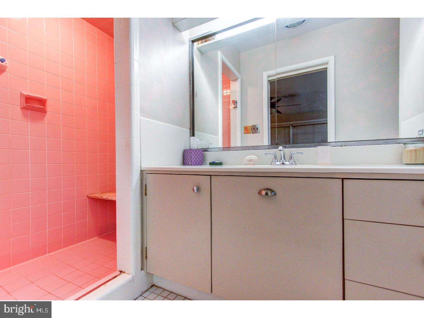 1008 Delene Road Rydal, PA 19046 - Photo 13 of 24 a bathroom with a sink and a mirror