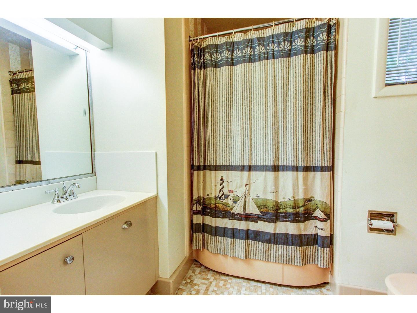 1008 Delene Road Rydal, PA 19046 - Photo 16 of 24 a bathroom with a sink and a mirror