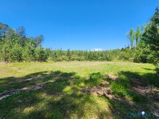 0 Chellowe Road Dillwyn, VA 23936 - Photo 3 of 9