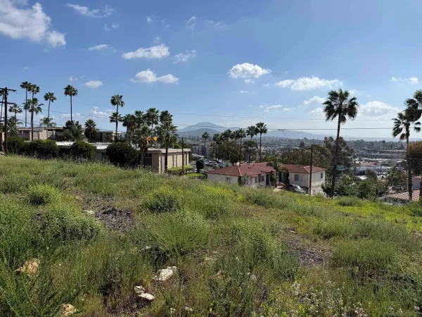 a view of a garden with a house