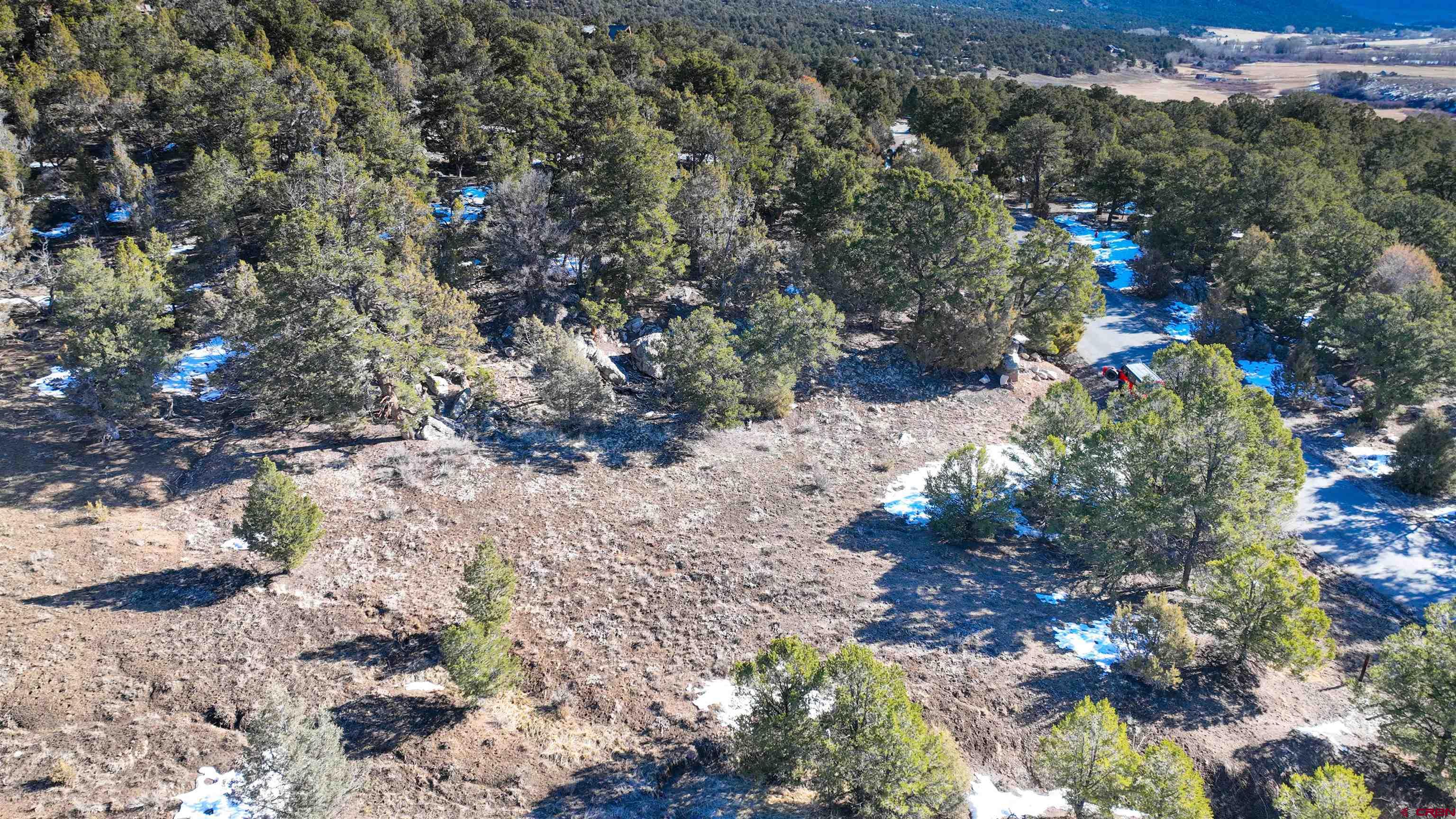 2461 Pleasant Point Drive Ridgway, CO 81432 - Photo 13 of 20 a view of a tree with a yard