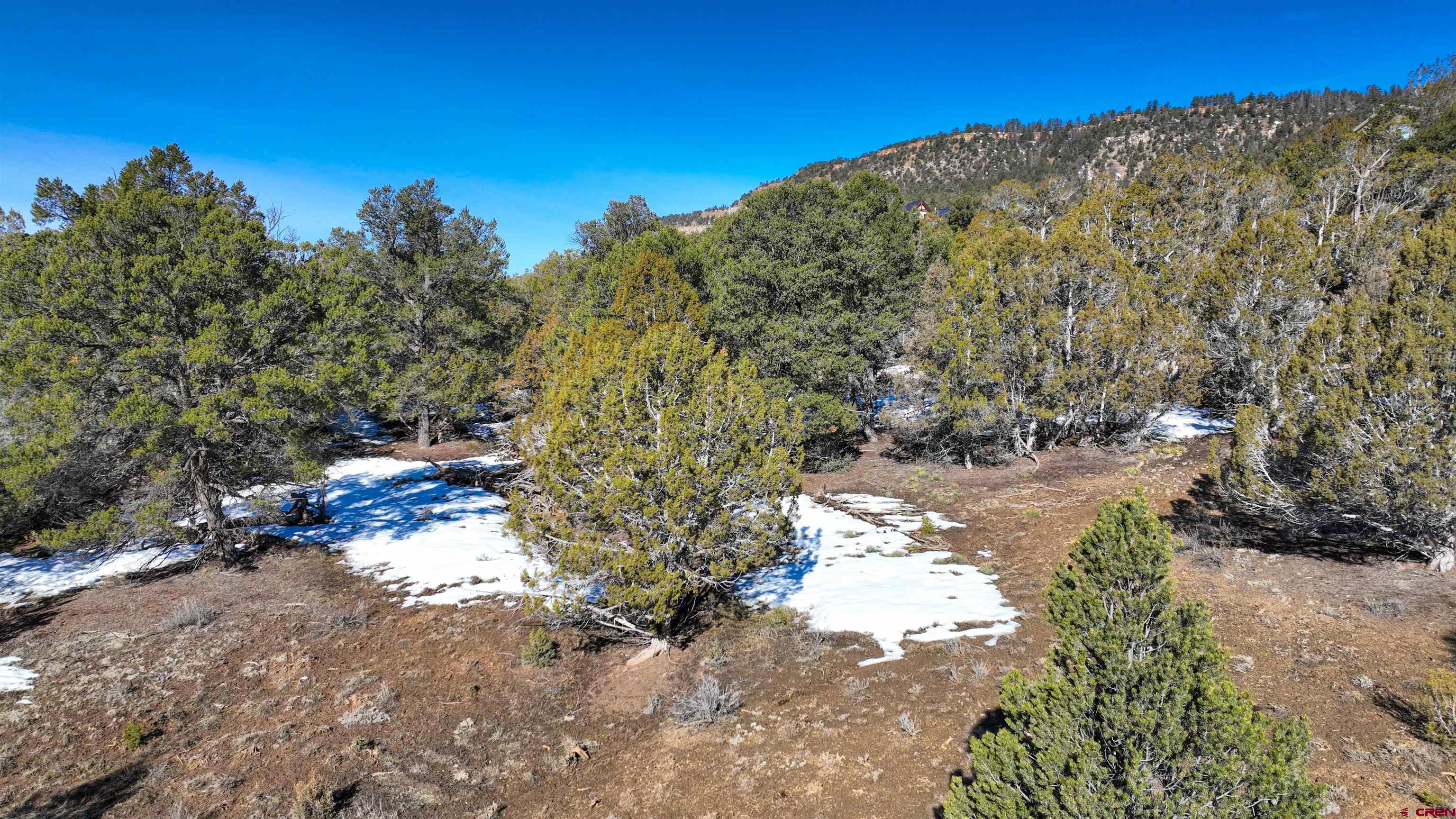 2461 Pleasant Point Drive Ridgway, CO 81432 - Photo 15 of 20 a view of a yard with a tree