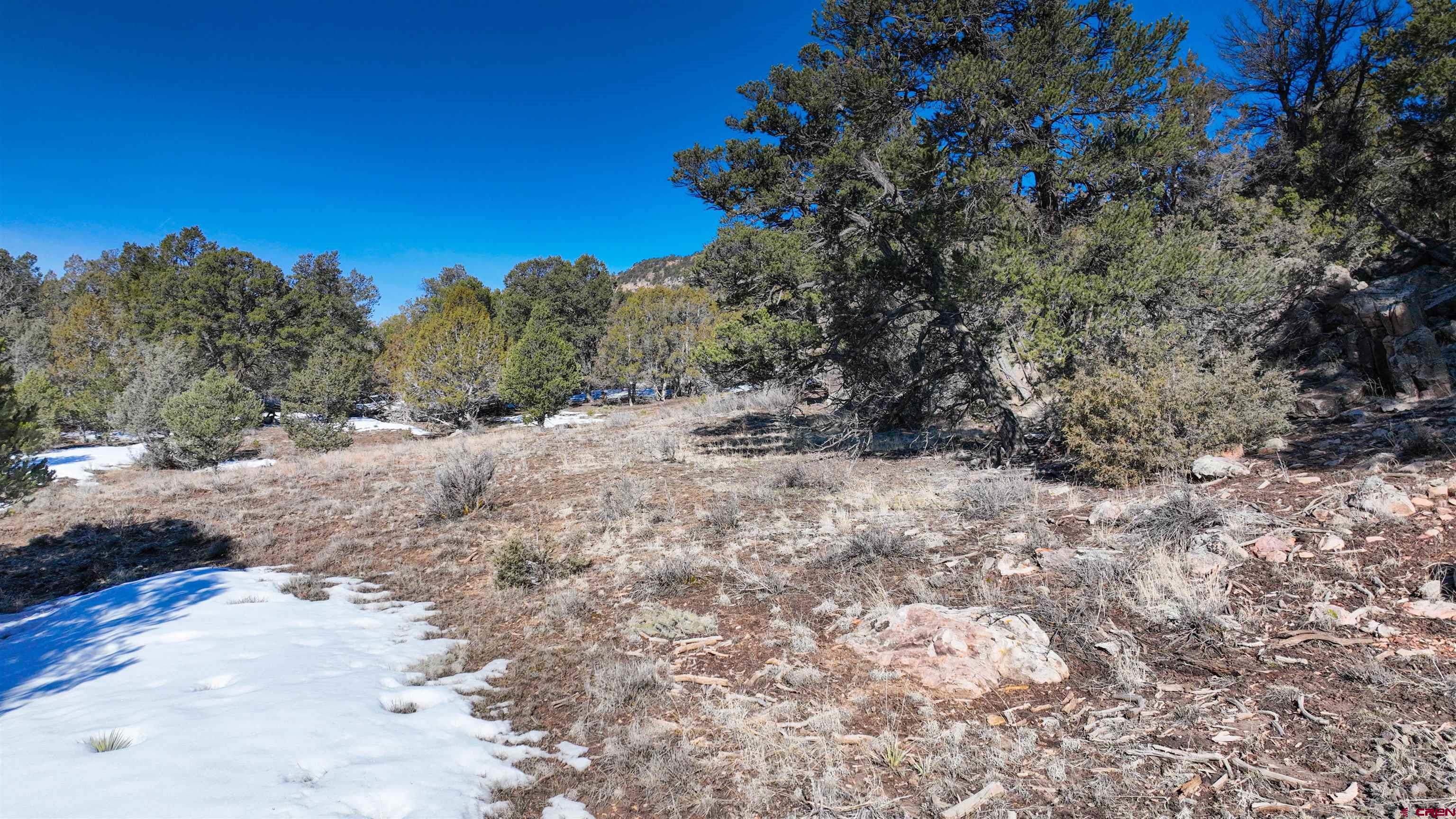 2461 Pleasant Point Drive Ridgway, CO 81432 - Photo 18 of 20 a view of a dry yard with trees in the background
