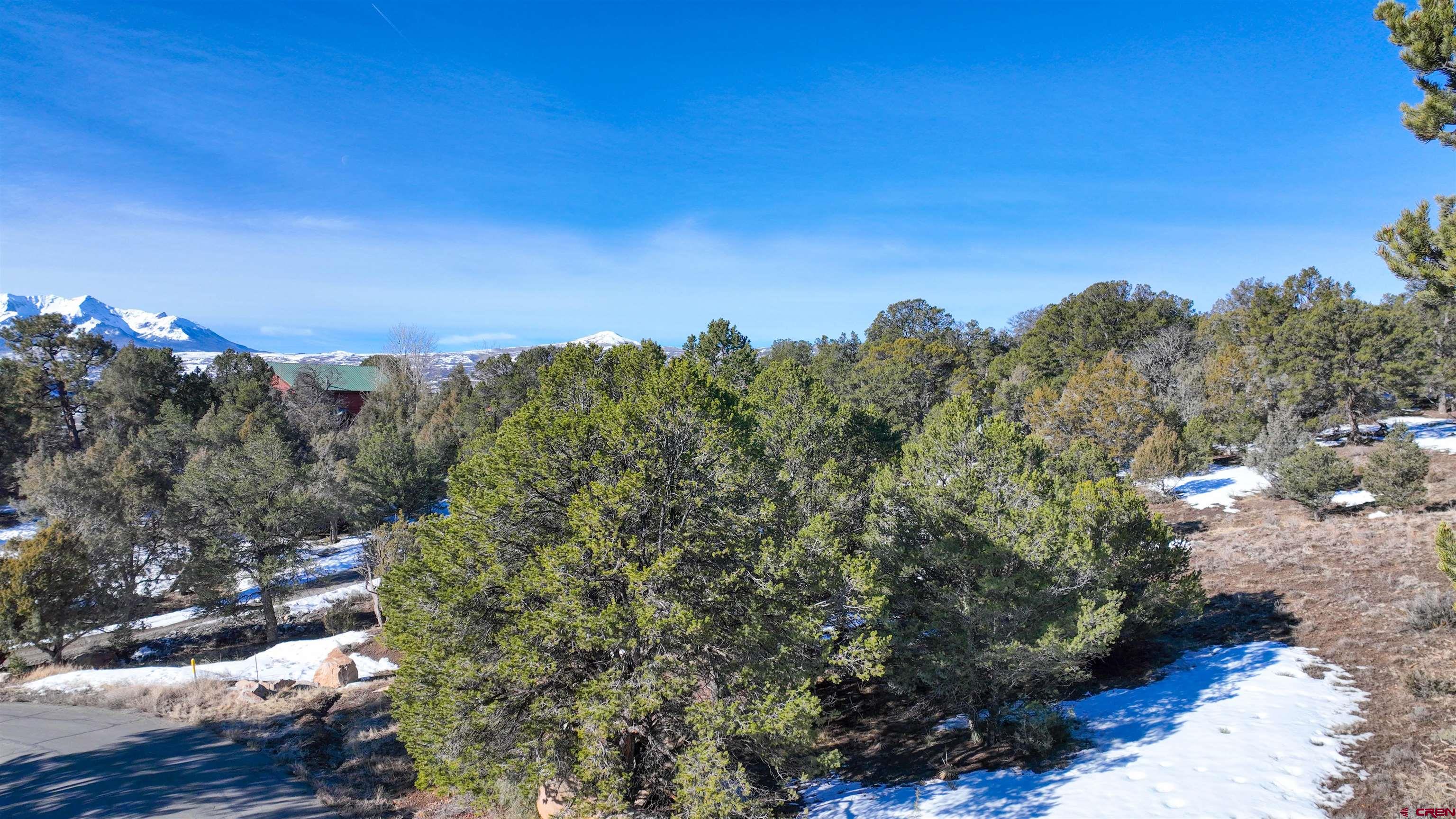 2461 Pleasant Point Drive Ridgway, CO 81432 - Photo 2 of 20 a view of a yard