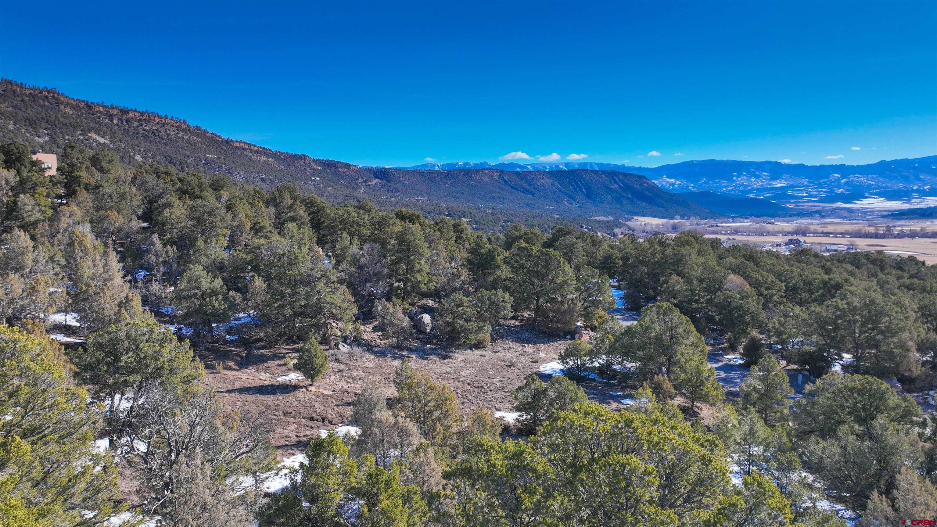2461 Pleasant Point Drive Ridgway, CO 81432 - Photo 10 of 20 a view of a forest with mountains in the background