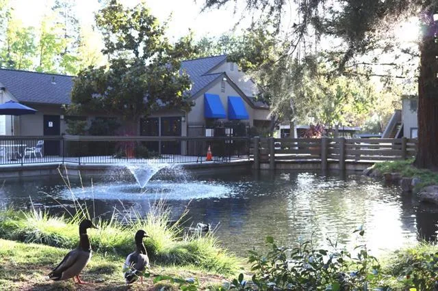 a view of swimming pool with a yard