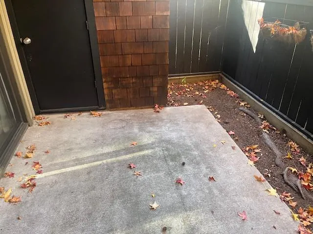 a view of wooden door