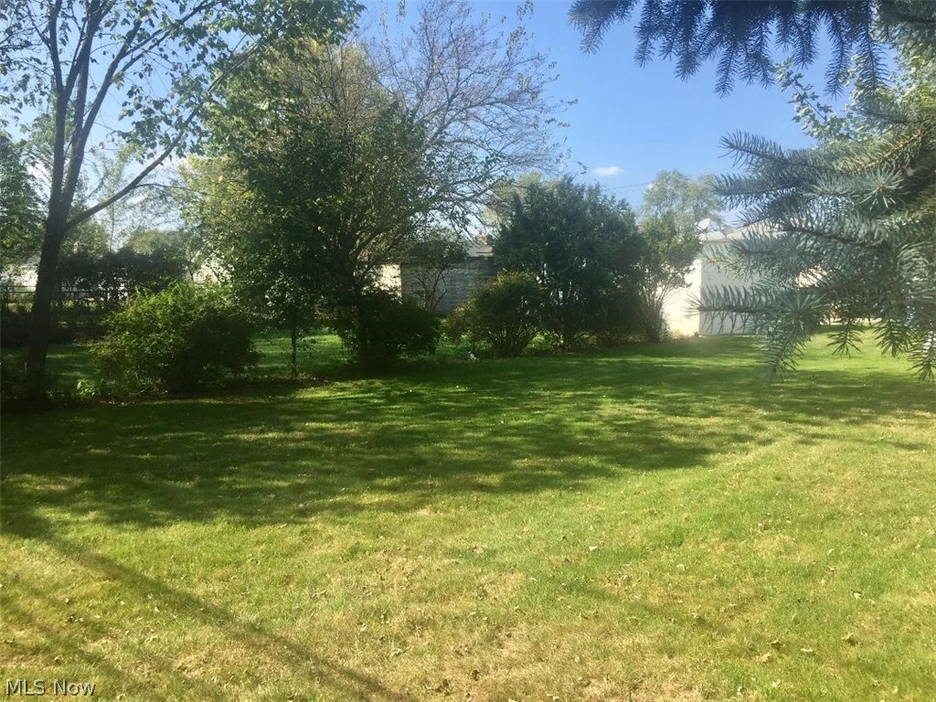 13812 Granger Road Cleveland, OH 44125 - Photo 26 of 29 This property is just beautiful and makes for a nice area to relax, let the kids and pets run, or simply enjoy it all by yourself. Following are additional photos of YOUR NEW YARD.