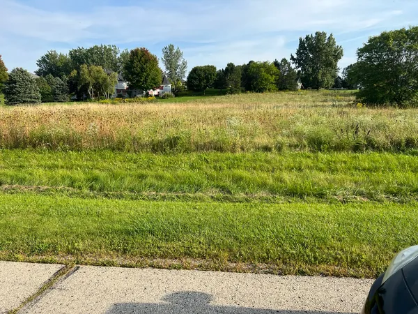 a view of a field of grass and trees