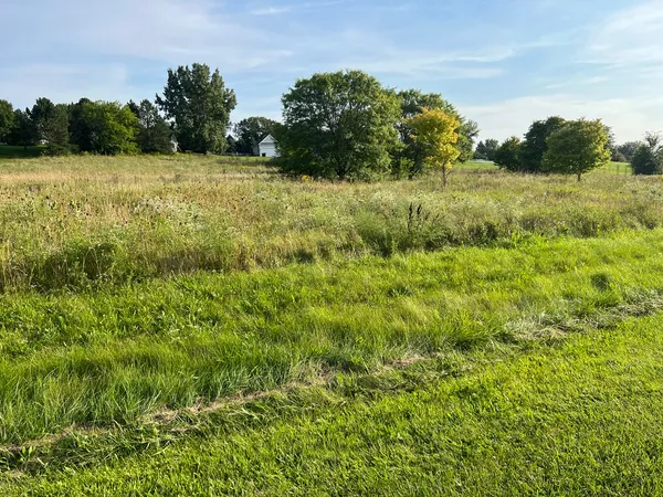 a view of a field with a tree in the background
