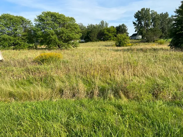 a view of a yard with plants and trees