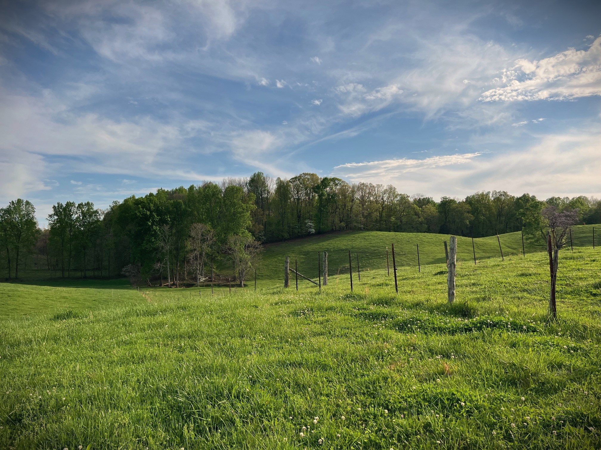 0 3 Island Road Walling, TN 38587 - Photo 49 of 55 Gallery Image 49