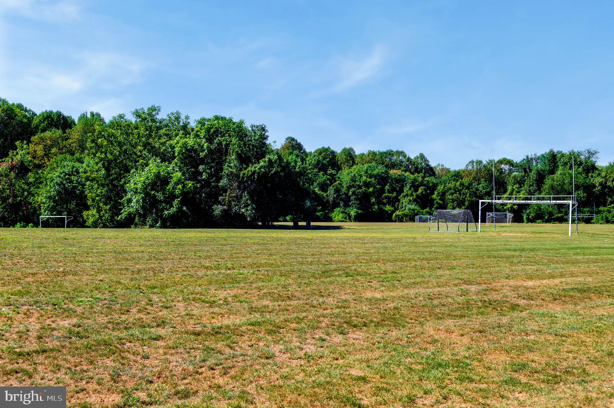 1443 Northgate Square, Unit 22B Reston, VA 20190 - Photo 42 of 42 a view of a with large trees