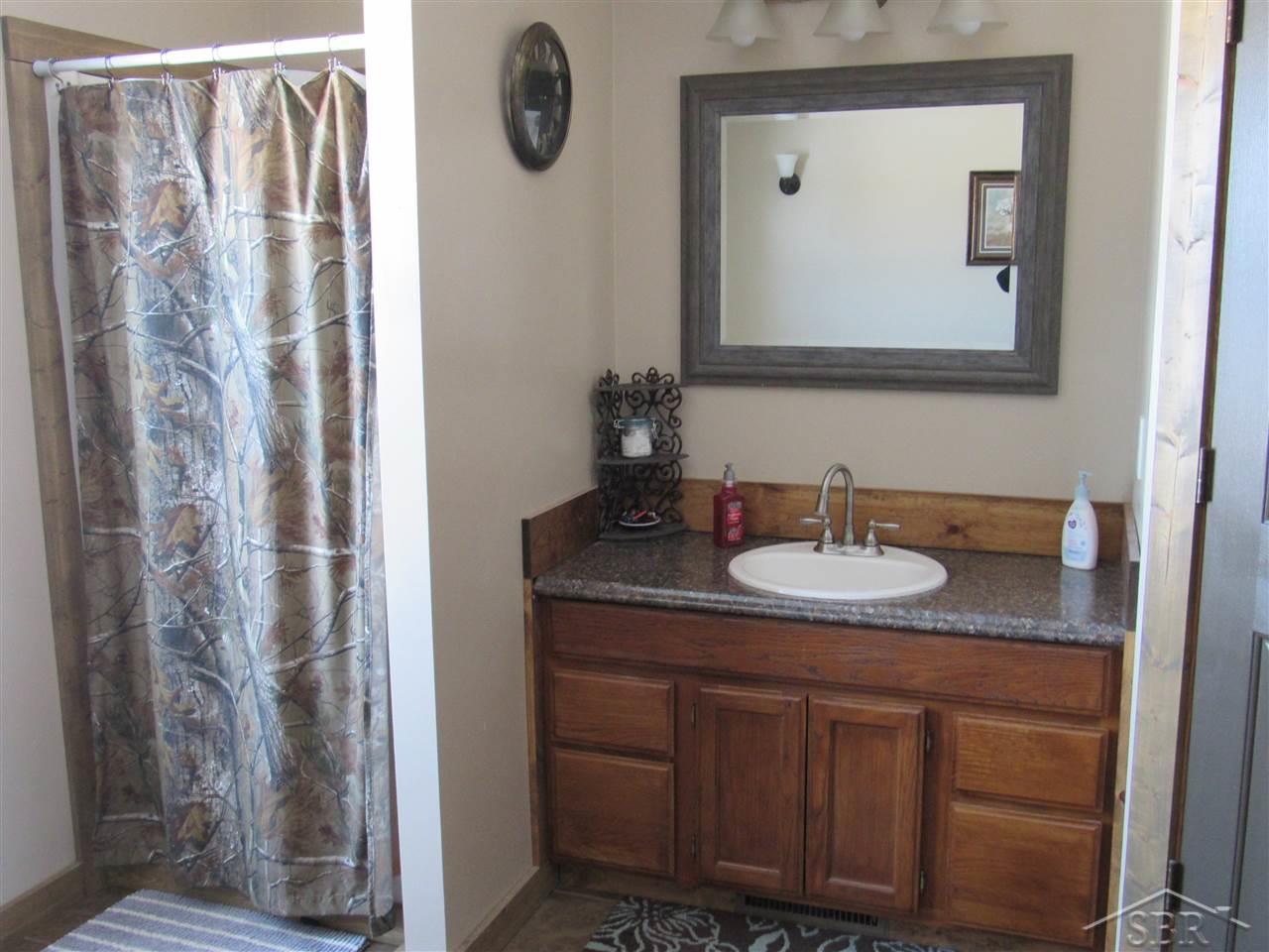 15610 Stuart Road Chesaning, MI 48616 - Photo 21 of 35 master bath