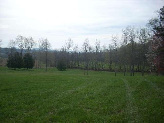 483 Shockey Ridge Road Callaway, VA 24067 - Photo 13 of 16 Lots of privacy