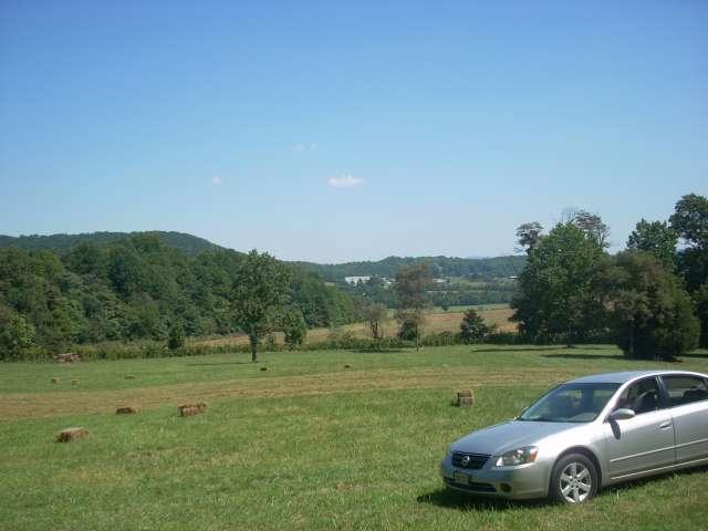 Feild-1